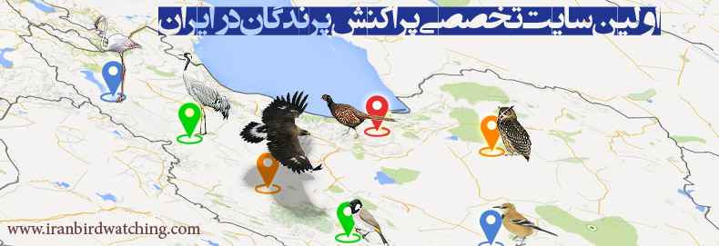 پرنده نگری در ایران